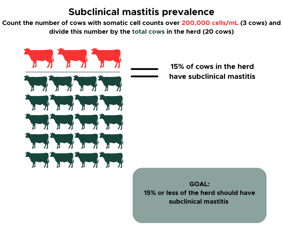 An illustrated infographic explaining how to calculate subclinical mastitis prevalence in a dairy herd. At the top, text instructs viewers to count the number of cows with somatic cell counts over 200,000 cells/mL (3 cows) and divide by the total herd size (20 cows). Below this, three red cow icons represent the affected cows, with seventeen green cow icons representing healthy cows. A label to the right states that 15% of cows in the herd have subclinical mastitis. At the bottom right, a gray rounded box contains the goal: “15% or less of the herd should have subclinical mastitis.”